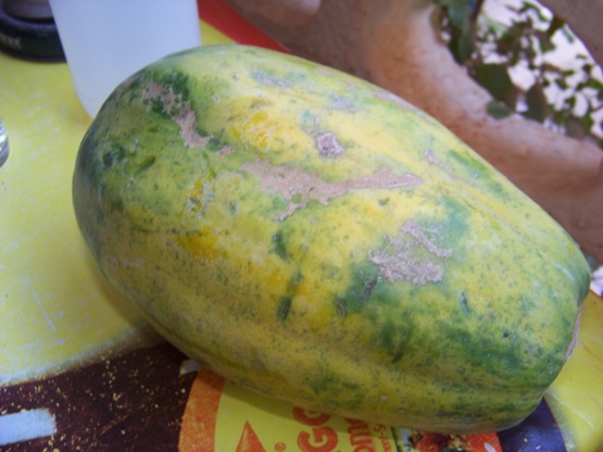 Papayas here, for me, replace cantaloupe: they're orange on the inside and I eat them about as often!